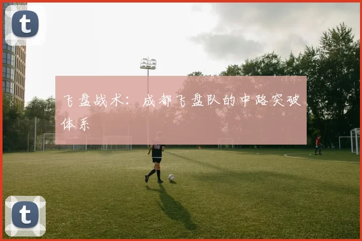 飞盘战术：成都飞盘队的中路突破体系