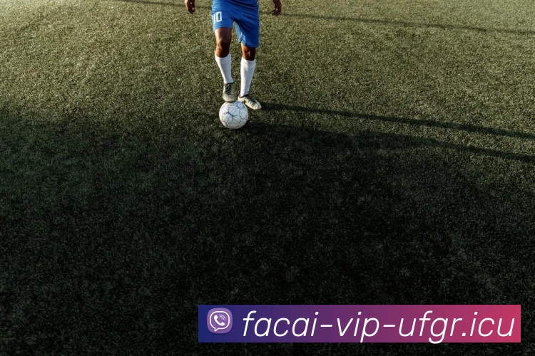 乐竞体育APP 体育赛事宣传图